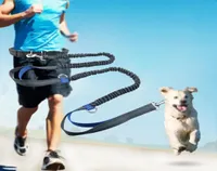 Retractable Hands Pet Dog Leash For Running Jogging Walking Dual Handle Bungee Leash Reflective Adjustable Waist Belt 2011044375613