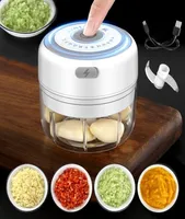 100250 ml Garlique ￠ ail d'ail ￩lectrique Presse ￠ l'ail Vegetable Chili Chopper Aim acteur Press Gadgets de cuisine USB Masher Machine 210317