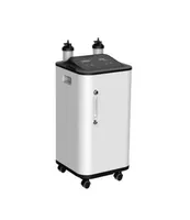 Luftrenare Portable Hushåll 10L Oxygen Generator 95 Högkoncentrationsmaskininandning för äldre ZY10ZW