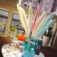 Decorative Flowers 7Pcs Artificial Pampas Grass Bouquet Plant Simulation Dried Flower Reed Holiday Wedding Party Supplies Home Decoration