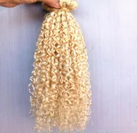 new arrive brazilian human virgin remy clip ins hair extensions curly hair weft blonde color 9pieces with 18clips7964218