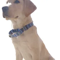 Stil Bohemian Britische Haustierhundkragen komfortable farbenfrohe verstellbare Martingale -Kragen Fadeprofes Sublimation Druckdesignergürtel 2