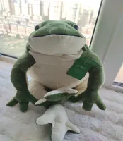 Dorimytrader Kawaii Simulation Animal Frog Plush Toy Big Stuffed Cartoon Green Frogs Dolls Pillow for Baby Gift 32cm 60cm DY615589213797