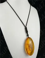 Natural Scorpion Amber Insect Pendant Necklace Lucky Amulet Charm Jewelry 7395845