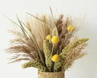 Faux Floral Greenery Artificial Plant For Home Garden Decraiton Primary Pampas Grass Yellow Magnolia Ball Reed Dipsacus Sativus Dr1113006