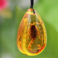 Hanger kettingen Creative Insect Stone Natural Scorpion Amber Necklace Artificial Souvenir Gift Resin