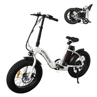 Bicycle elettrico pieghevole Motore da 500 W da 20 "Piene a grasso con 36 V/13Ah Li-BATERY