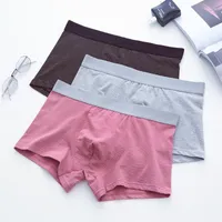 Underpants Cotton Men's Boxer Shorts Brand Fashion Striped Sexy Panties Male Underwear Men Man Plus Size XXXL Underpant