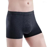 Underpants Fashion Boxershorts Breathable Ice Silk Men's Underwear Panties Sexy 3D Pouch Shorts Seamless Male Boxer Pants Homme