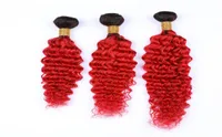 Bright Red Ombre Loose Wave Weave B￼ndel wellige malaysische jungfr￤uliche Haare 3pcs Lot 1bred Ombre Human Hair Webs Extensions Dunkelwurzel8859419