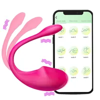Sexspielzeugmassagebeistung Vibratorin weibliche Fernbedienung Wireless Konsole G-Punkt-Klitorisstimulator Spielzeug