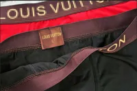 Luxury Mens Designer Boxers Brand Underpants Sexy Classic Men Boxer Casual Shorts Underwear Breathable Underwears 3 Pieces C1
