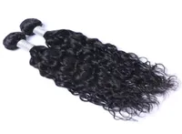 Brazilian Water Wave Human Hair Bundles Unprocessed Remy Hair Weaves Double Wefts 100gBundle 2bundlelot Hair Extensions6774251