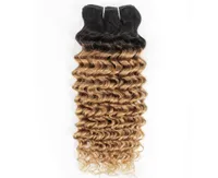 Indian Deep Wave Curly Hair Weave Bundles 1B27 Ombre Honey Blonde Two Tone 1 Bunds 1024 Inch Peruvian Malaysian Human Hair Ext7168648