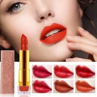 Lip Gloss Amber Rouge Womens Lipstick Long Lasting Moisturizing Velvet Sand Color Rotten Tomato Super Stay Ink