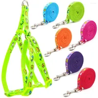Dog Collars 24Sets Pet For Dogs Harness With Leash Mouse Cartoon Cat Neck Leads Puppy Vest Accessories Outdoor Walk