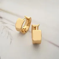 Hoop Earrings Casual Gold Color Plating Unique Shape For Women Girl Elegant Classic Modern Huggie Office Chic Jewelry