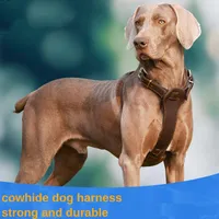 Dog Collars Medium And Large Leashes Cowhide Vest-style Harness Labrador Golden Retriever Marinos Leads Accessories