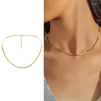 Chains Stainless Steel Gold Color Chain Flat Snake Bone Necklace Titanium Jewelry Matching Men Women Accessories