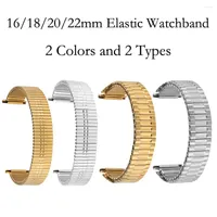 Watch Bands Elastic Strap Silver Gold 16mm 18mm 20mm 22mm Stainless Steel Replacements Band Men Bangle No Buckle Clock