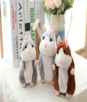 Högkvalitet DHL Nyutformad Talking Hamster Mouse Pet Soft Toy Lär dig att tala Record Puzzle Childrens Gift 16 cm Tricolor3159243