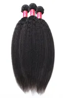 Kalite 10a İşlenmemiş Moğol Saç Afro Kinky Düz Dokuma Uzantıları 3pcs Lot İtalyan Kaba Yaki İnsan Saçı AT5111856