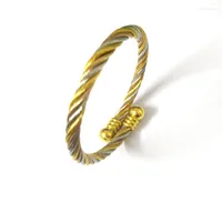 Bangle FairLadyHood Gold Bracelet 2022 Charm Bracelets Women Bangles Gold Silver Color Rose MIX Color