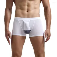 Sexy Large Hole Transparent Boxers For Men Underwear Low Waist Stretch Mesh  Breathable Solid Panties Shorts Boxer Hombre Men
