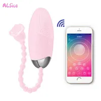 NXY Sex Eggs Mobiele Telefoon App Afstandsbediening Bullet Vibrator 10 Geschwindigkeit Vibrerende Clitoris Stimulator Vibratoren Toys Voor Vrouwen Masturbatie 1110