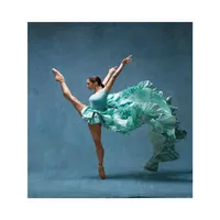 Ballet Dancer Misty Copeland Painting Poster Print Home Decor Framed Or Unframed Popaper Material252b