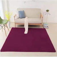 Carpets 2022 Children Crawling Mat Bedroom Blanket Sofa Room Simple Coffee Table Living Rectangular Rug Coral Velvet Carpet