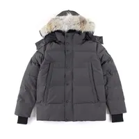 Yüksek kaliteli erkek aşağı ceket kazı ceket gerçek büyük kurt kürk kanadian wyndham palto giyim gündelik moda tarzı kış dış giyim parka 06525