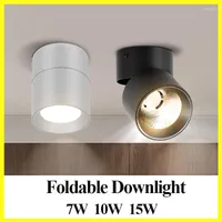 Belysning LED Spotlights Cob Foco Spot Light Lamp Tak 10W 20/30W Track Lights Foldble Downlight for Home Shop Clothing Store 220V
