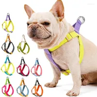 Dog Collars Rainbow-colored Pet Chest Harness Suit Color-blocking Anti-break Free Leash