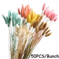 장식용 꽃 자연 꼬리 잔디 50pcs/로트 건조 꽃 진짜 꽃다발 목회 스타일 촬영 소품 도매