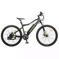 Newly designed 26 inch 250W/36V rear wheel electric bicycle with disc brake MTB adult
