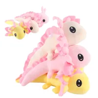 2022New süße Cartoon Salamander Puppe Axolotl Plüschspielzeug Mexikanische hexagonale Dinosaurierpuppe Puppe Zm1014