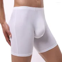 Underpants Men Sexy Underwear Boxer Shorts Cool Ice Silk Mutandine Man Solido Testo traspirante gamba lunga Interna