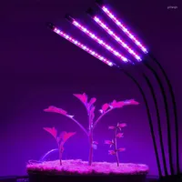 Grow Lights LED Light USB Phyto Lamp Full Spectrum Growing With Timer Growth For Plants Seedlings Hydroponics Succulents