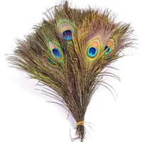 Plumas de pavo pavo real puro plumas importadas plumas de bricolaje Decoración de jarrón doméstico 25-30 cm W816234E