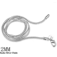 Ketten LuckyShine 5pcs 2mm 925 Silber Verschiedene Stile mit Schlangenkette Halsketten Unisex Mode Schmuck kostenlos Schiffe16-24