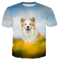Camisetas masculinas 2022 Border Collie Men/Women 3D Animal Dogs Printed T-shirt Fashion Casual Harajuku Streetwear Tee Tops