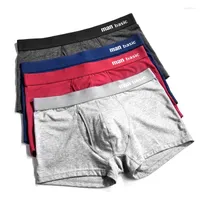 Underpants Mens Underwear 2022 Men Cotton Male Panties Shorts Boxer S To 3XL Cuecas Calecon Homme