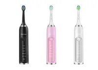 2022Dierman new Sonic Electric Toothbrush 15 brush heads for Adult 5 Cleaning Modes Wireless inductive Power Tooth Brush Waterproo7002842