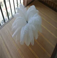 50pcs white Ostrich Feather Plume for Wedding centerpiece christmas feather decor wedding home table decor party supply1359382
