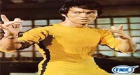 NUEVO JEET KUNE DO JUEGO DE COSTURO DE MUERTE BRUCE LEE Classic Kung Fu Uniforms Cosplay JKD2648385