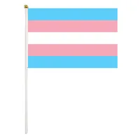 Rainbow Pride Handlid Flag 14x21 cm Polyester Mini Gökkuşağı Transseksüel El Sallar Dekor için Plastik Bayrak Düzeyleri ile Bayraklar Dekor