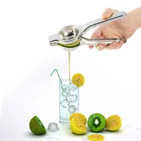Citrus Press Manual Juicer Edelstahl Metall Squeezer Juicer für Obst Orange Zitronen Sinaasappel Küchenwerkzeugzubehör
