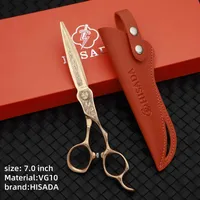 HISADA Professional Barber Scissors Japanese VG10 From