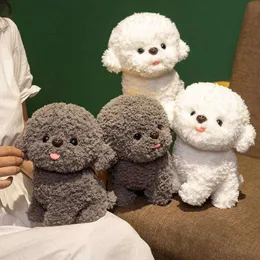 32 cm farco Teddy Dog giocattoli per bambini carino Bichon cane peluche bambola giocattoli per bambini bambola di simulazione per ragazza regalo di compleanno per bambini  26